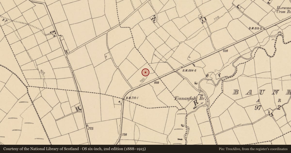 Ordnance Survey six-inch map, 2nd edition (1888–1915) covering the location of Fulacht fia, Glenleigh, County Cork, with a pin at the register's coordinates