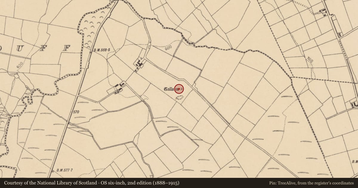 Ordnance Survey six-inch map, 2nd edition (1888–1915) covering the location of Standing stone, Tooreenbane, County Cork, with a pin at the register's coordinates