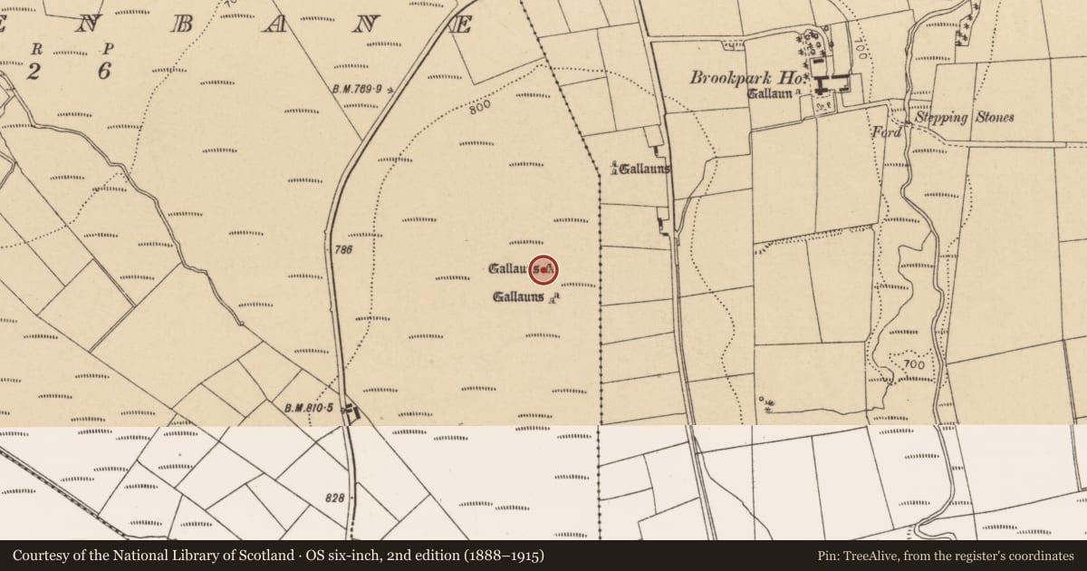 Ordnance Survey six-inch map, 2nd edition (1888–1915) covering the location of Standing stone, Tooreenbane, County Cork, with a pin at the register's coordinates