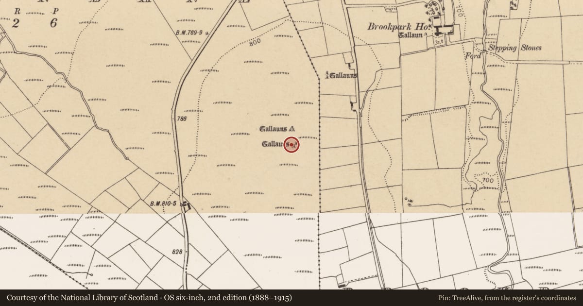 Ordnance Survey six-inch map, 2nd edition (1888–1915) covering the location of Standing stone, Tooreenbane, County Cork, with a pin at the register's coordinates