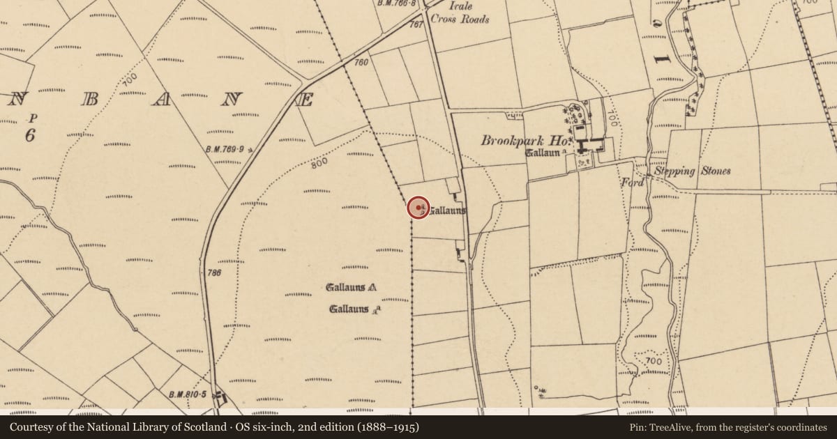 Ordnance Survey six-inch map, 2nd edition (1888–1915) covering the location of Standing stone, Brookpark, County Cork, with a pin at the register's coordinates