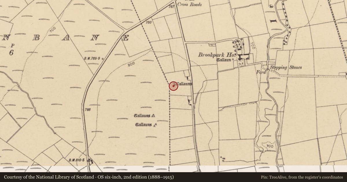 Ordnance Survey six-inch map, 2nd edition (1888–1915) covering the location of Standing stone, Brookpark, County Cork, with a pin at the register's coordinates