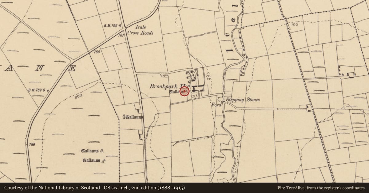 Ordnance Survey six-inch map, 2nd edition (1888–1915) covering the location of Standing stone, Brookpark, County Cork, with a pin at the register's coordinates