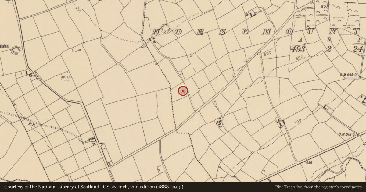 Ordnance Survey six-inch map, 2nd edition (1888–1915) covering the location of Enclosure, Horsemount North, County Cork, with a pin at the register's coordinates