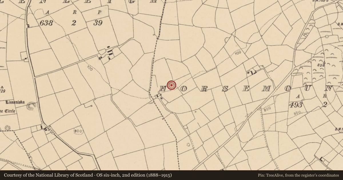 Ordnance Survey six-inch map, 2nd edition (1888–1915) covering the location of Ringfort - rath, Horsemount North, County Cork, with a pin at the register's coordinates