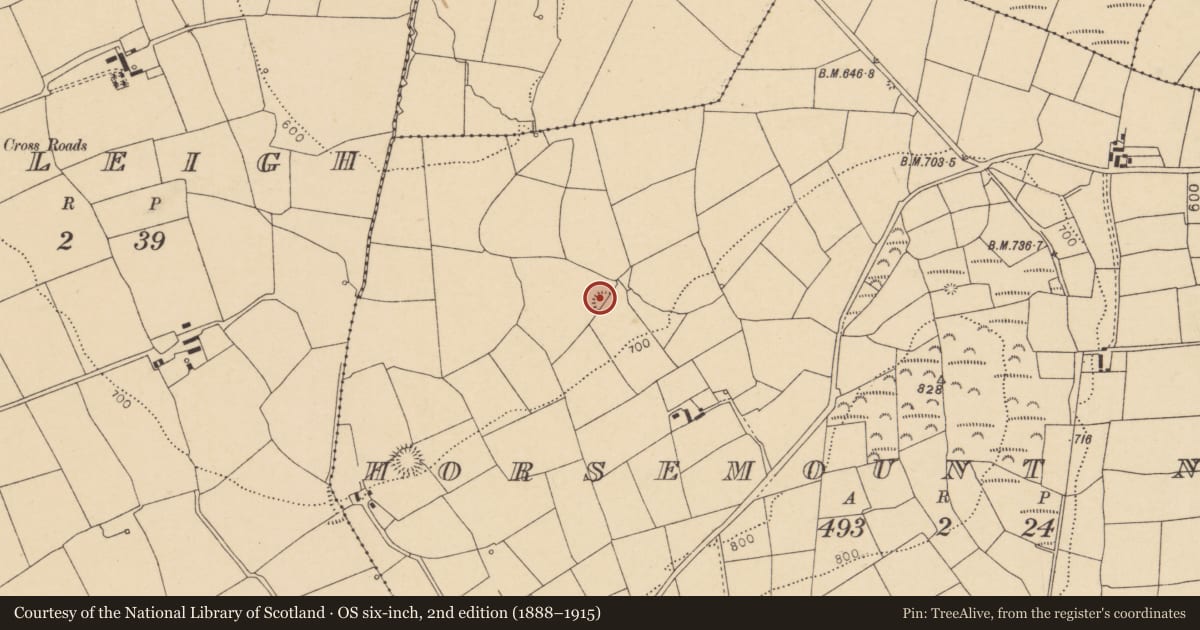 Ordnance Survey six-inch map, 2nd edition (1888–1915) covering the location of Enclosure, Horsemount North, County Cork, with a pin at the register's coordinates