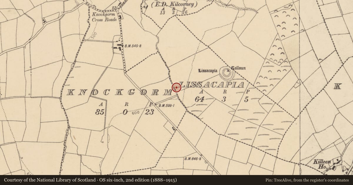 Ordnance Survey six-inch map, 2nd edition (1888–1915) covering the location of Fulacht fia, Lissacapia, County Cork, with a pin at the register's coordinates