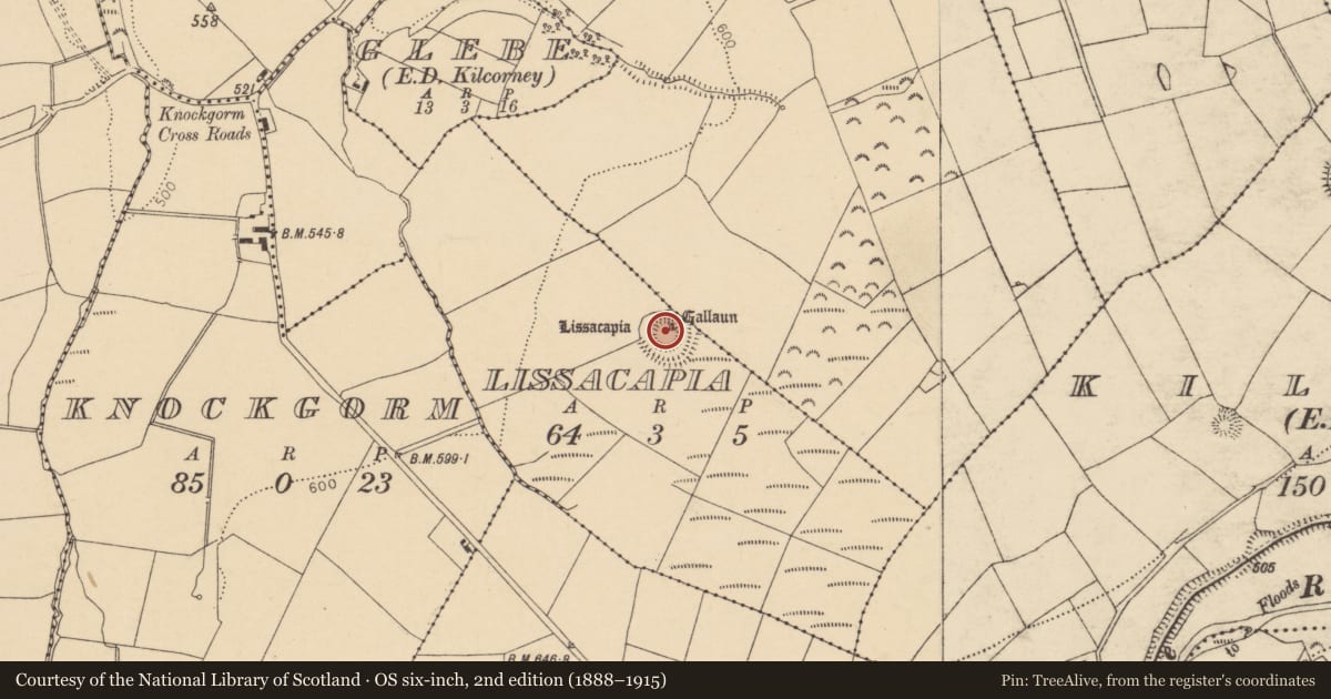 Ordnance Survey six-inch map, 2nd edition (1888–1915) covering the location of Ringfort - rath, Lissacapia, County Cork, with a pin at the register's coordinates