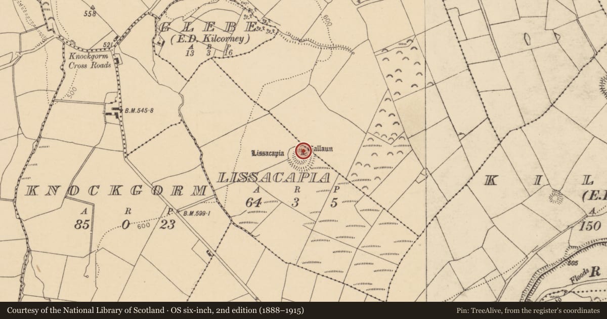 Ordnance Survey six-inch map, 2nd edition (1888–1915) covering the location of Standing stone, Lissacapia, County Cork, with a pin at the register's coordinates