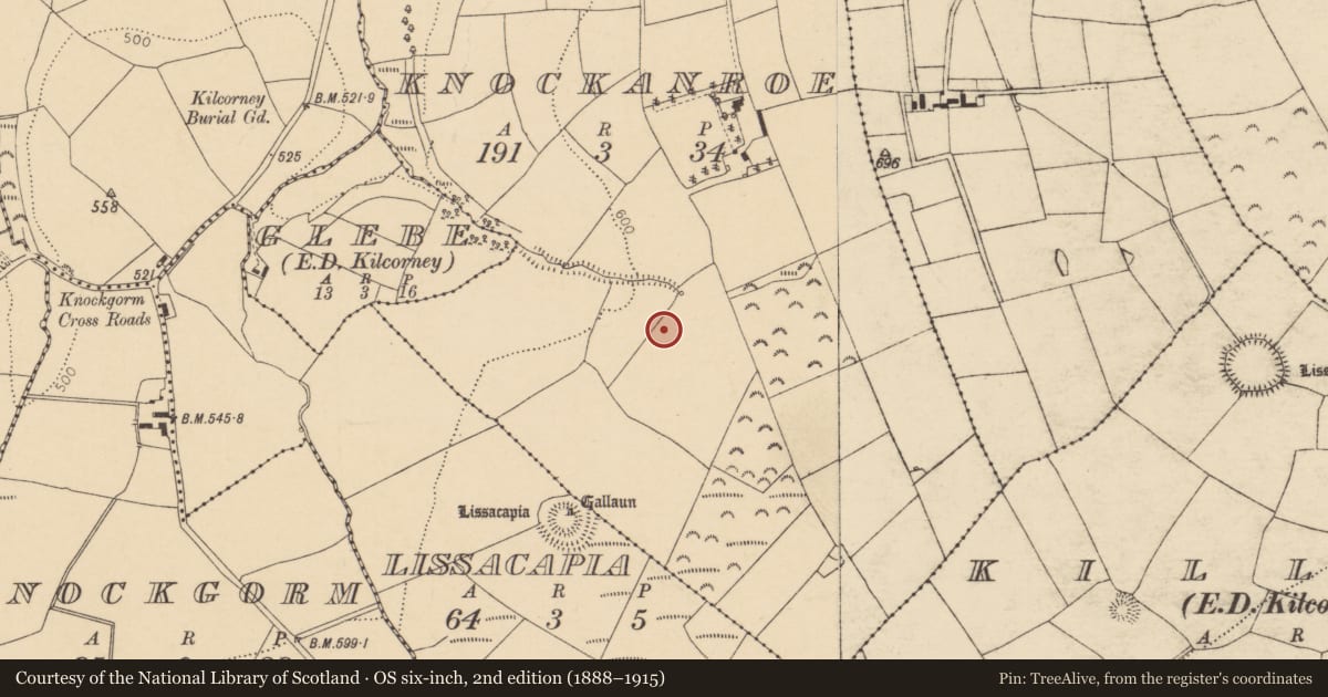 Ordnance Survey six-inch map, 2nd edition (1888–1915) covering the location of Fulacht fia, Knockanroe, County Cork, with a pin at the register's coordinates