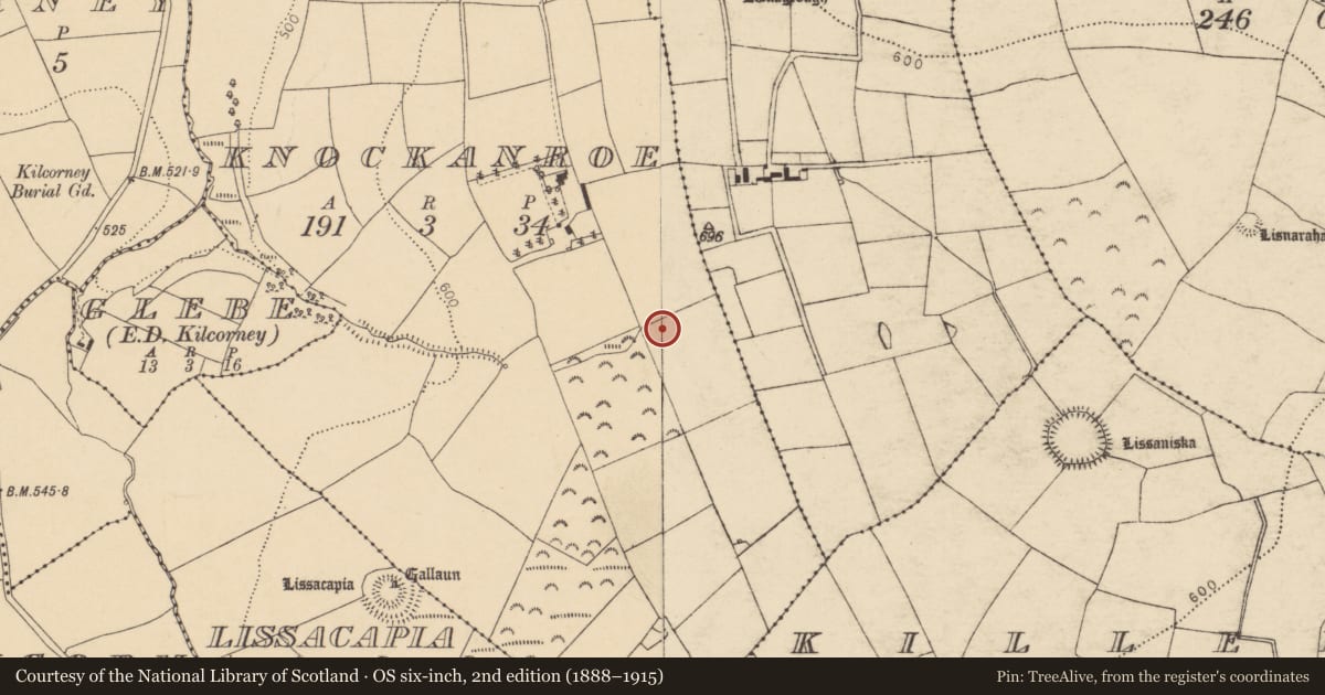 Ordnance Survey six-inch map, 2nd edition (1888–1915) covering the location of Fulacht fia, Knockanroe, County Cork, with a pin at the register's coordinates