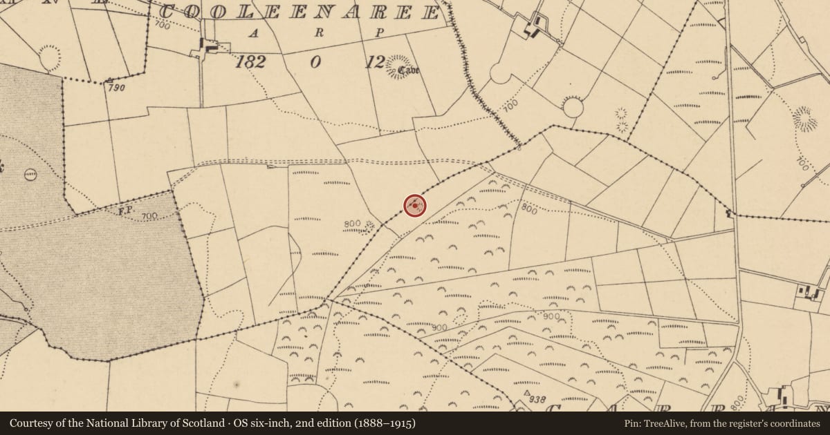 Ordnance Survey six-inch map, 2nd edition (1888–1915) covering the location of Enclosure, Garraneduff, County Cork, with a pin at the register's coordinates