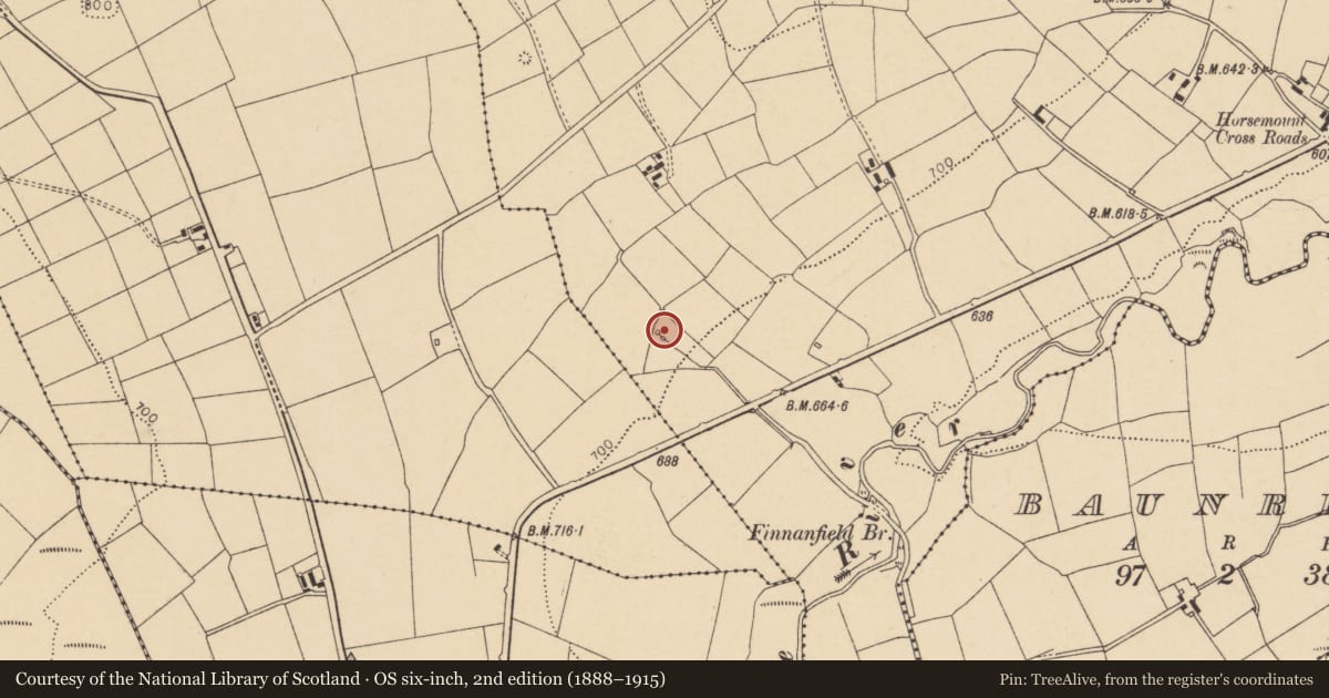 Ordnance Survey six-inch map, 2nd edition (1888–1915) covering the location of Fulacht fia, Horsemount North, County Cork, with a pin at the register's coordinates