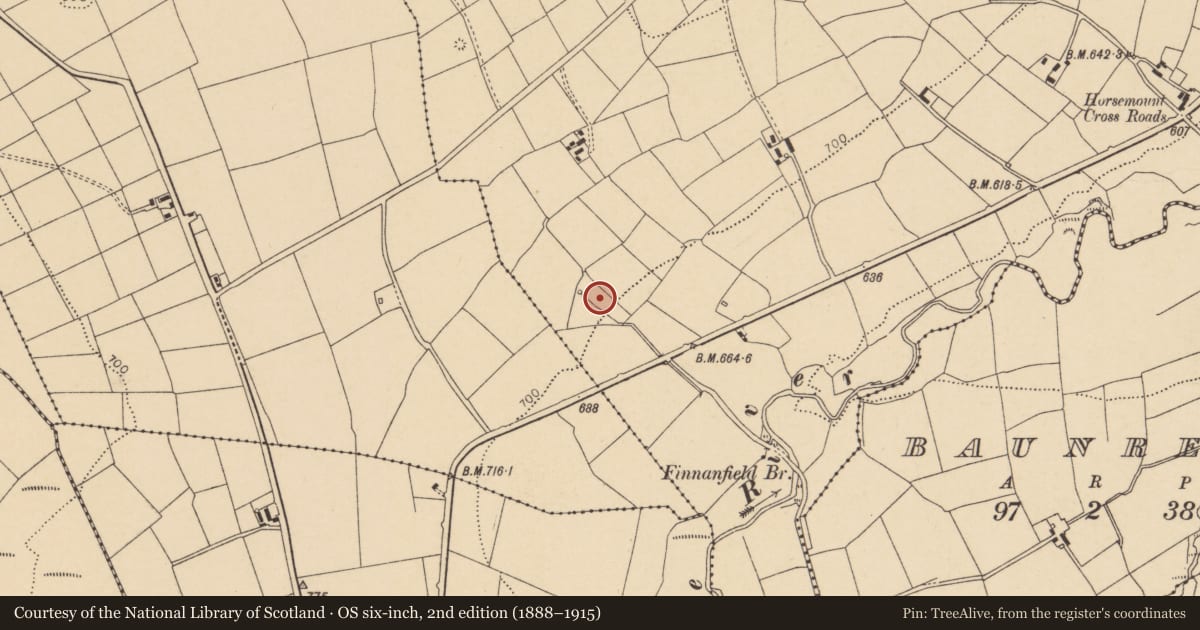Ordnance Survey six-inch map, 2nd edition (1888–1915) covering the location of Fulacht fia, Horsemount North, County Cork, with a pin at the register's coordinates