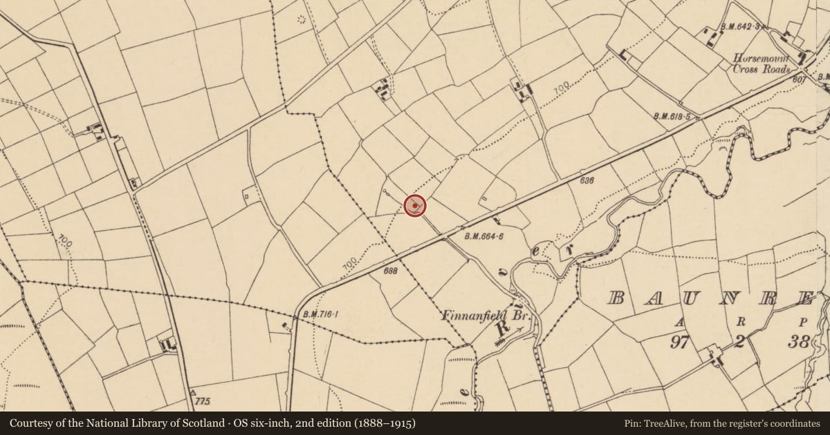 Ordnance Survey six-inch map, 2nd edition (1888–1915) covering the location of Fulacht fia, Horsemount North, County Cork, with a pin at the register's coordinates