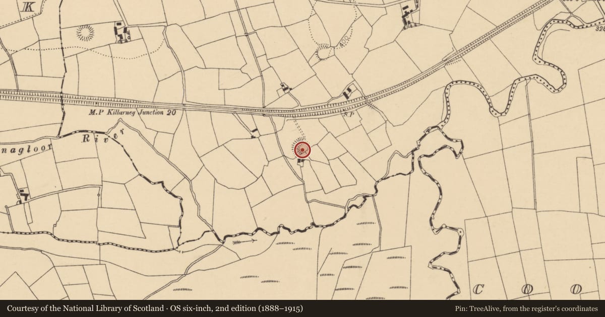 Ordnance Survey six-inch map, 2nd edition (1888–1915) covering the location of Ringfort - rath, Liscreagh, County Cork, with a pin at the register's coordinates