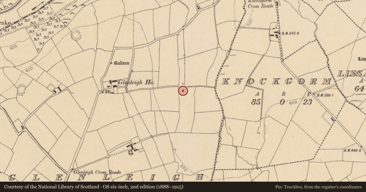 Ordnance Survey six-inch map, 2nd edition (1888–1915) covering the location of Fulacht fia, Glenleigh, County Cork, with a pin at the register's coordinates