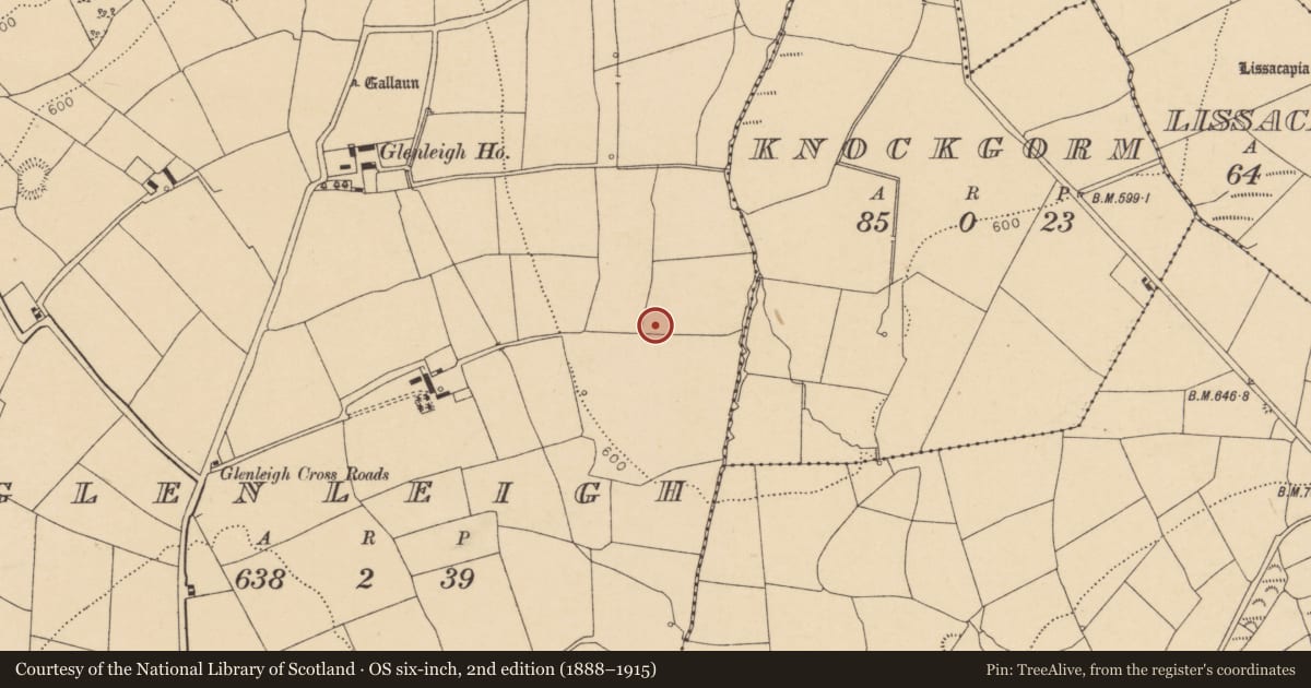 Ordnance Survey six-inch map, 2nd edition (1888–1915) covering the location of Fulacht fia, Glenleigh, County Cork, with a pin at the register's coordinates