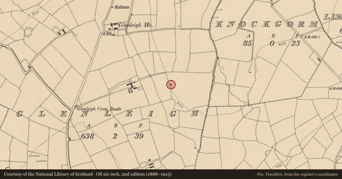 Ordnance Survey six-inch map, 2nd edition (1888–1915) covering the location of Fulacht fia, Glenleigh, County Cork, with a pin at the register's coordinates