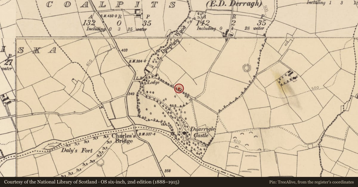 Ordnance Survey six-inch map, 2nd edition (1888–1915) covering the location of Kiln - lime, Duarrigle (Duhallow By., Cullen Par.), County Cork, with a pin at the register's coordinates