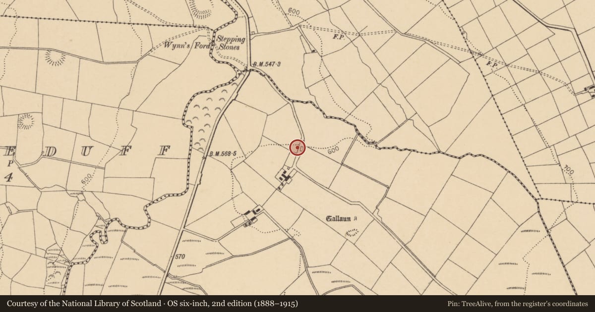 Ordnance Survey six-inch map, 2nd edition (1888–1915) covering the location of Kiln - lime, Tooreenbane, County Cork, with a pin at the register's coordinates