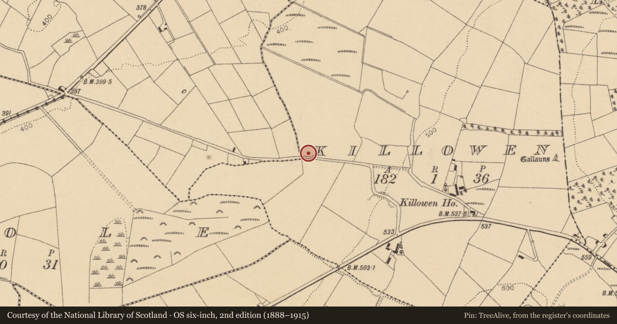 Ordnance Survey six-inch map, 2nd edition (1888–1915) covering the location of Burial ground, Killowen, County Cork, with a pin at the register's coordinates