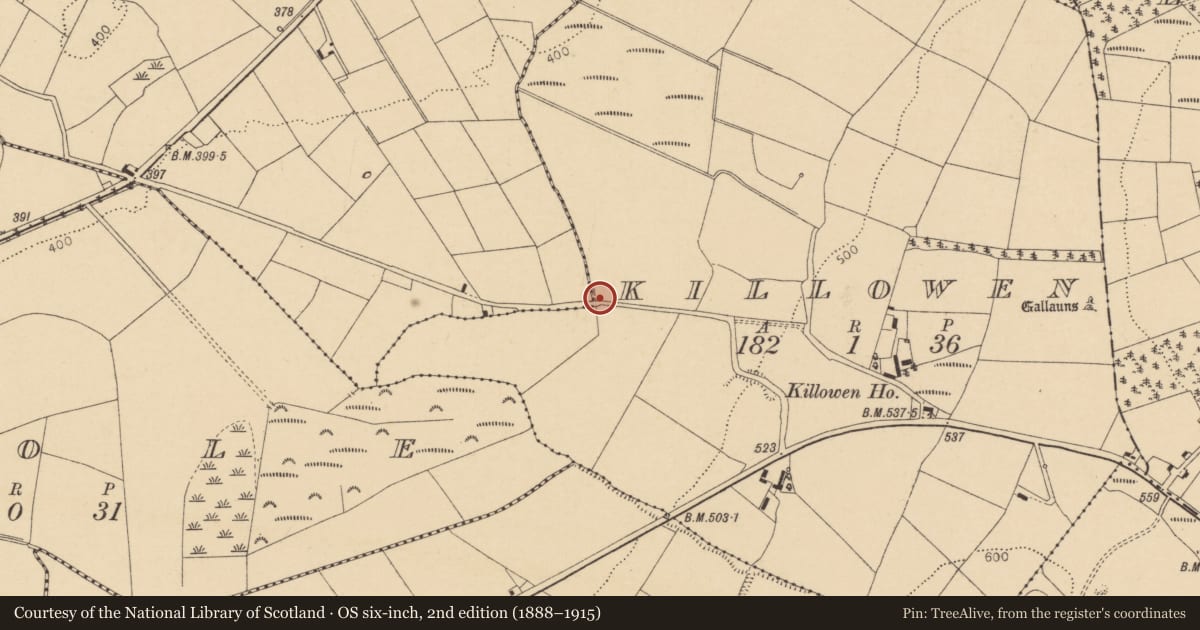 Ordnance Survey six-inch map, 2nd edition (1888–1915) covering the location of Ritual site - holy well, Killowen, County Cork, with a pin at the register's coordinates