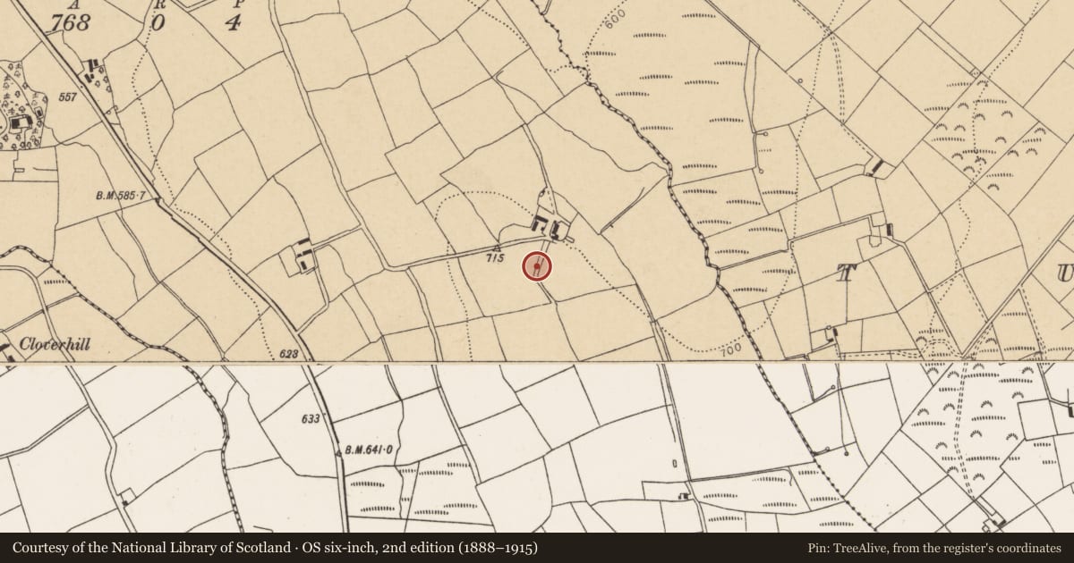 Ordnance Survey six-inch map, 2nd edition (1888–1915) covering the location of Ringfort - rath, Liscahane, County Cork, with a pin at the register's coordinates