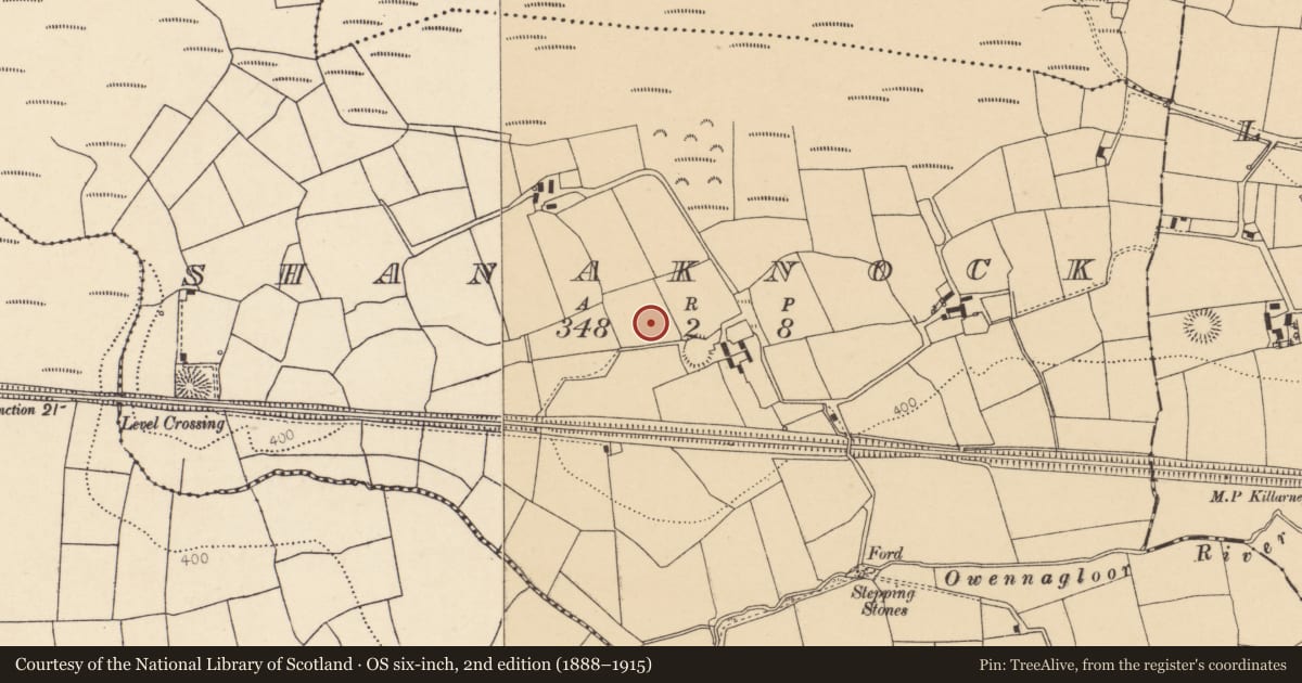 Ordnance Survey six-inch map, 2nd edition (1888–1915) covering the location of Fulacht fia, Shanaknock, County Cork, with a pin at the register's coordinates