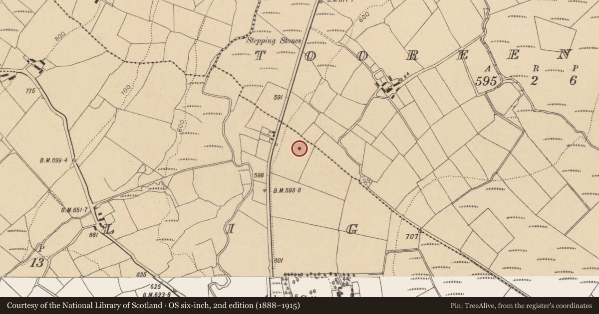 Ordnance Survey six-inch map, 2nd edition (1888–1915) covering the location of Ringfort - rath, Tullig, County Cork, with a pin at the register's coordinates
