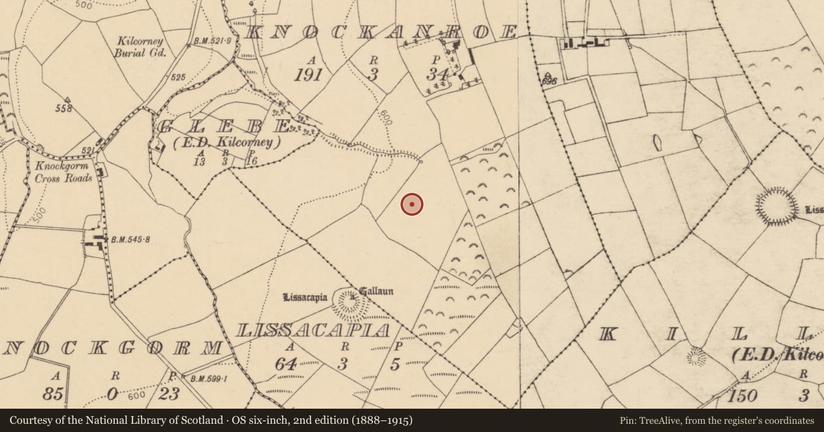 Ordnance Survey six-inch map, 2nd edition (1888–1915) covering the location of Fulacht fia, Knockanroe, County Cork, with a pin at the register's coordinates