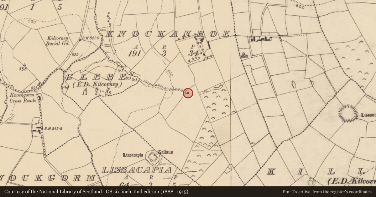 Ordnance Survey six-inch map, 2nd edition (1888–1915) covering the location of Fulacht fia, Knockanroe, County Cork, with a pin at the register's coordinates