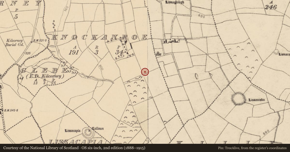 Ordnance Survey six-inch map, 2nd edition (1888–1915) covering the location of Fulacht fia, Knockanroe, County Cork, with a pin at the register's coordinates