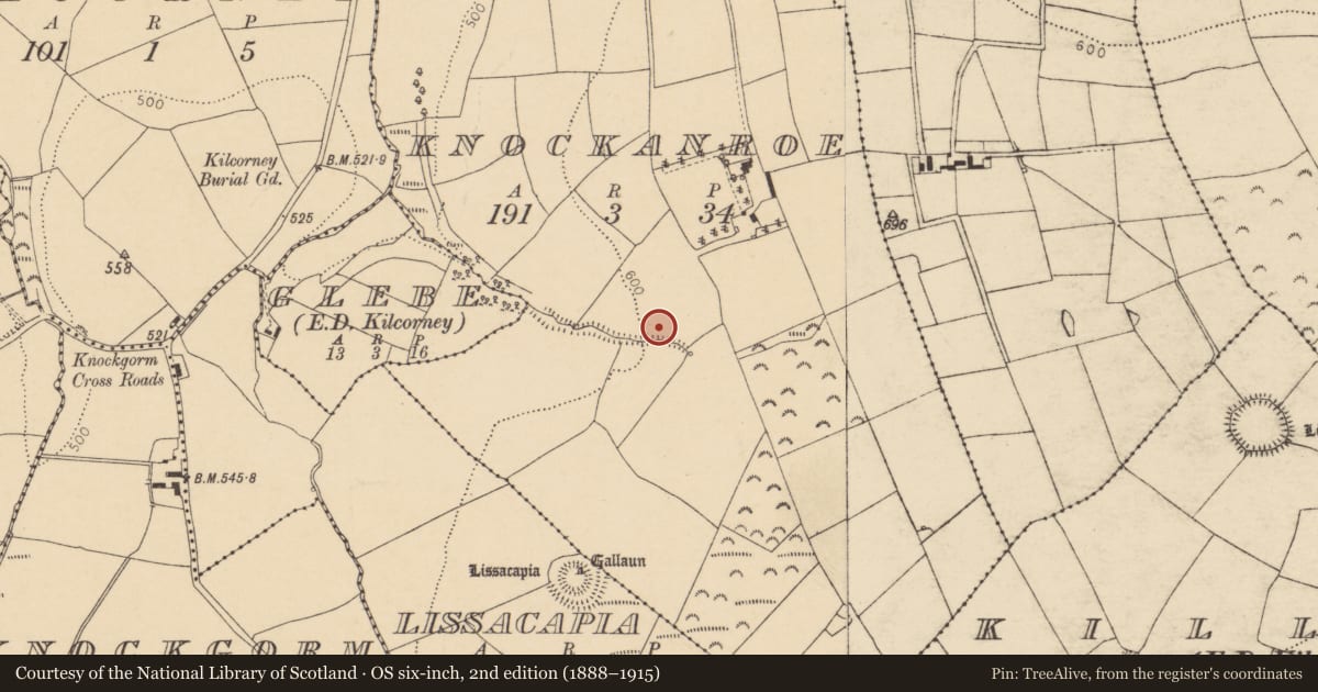 Ordnance Survey six-inch map, 2nd edition (1888–1915) covering the location of Fulacht fia, Knockanroe, County Cork, with a pin at the register's coordinates