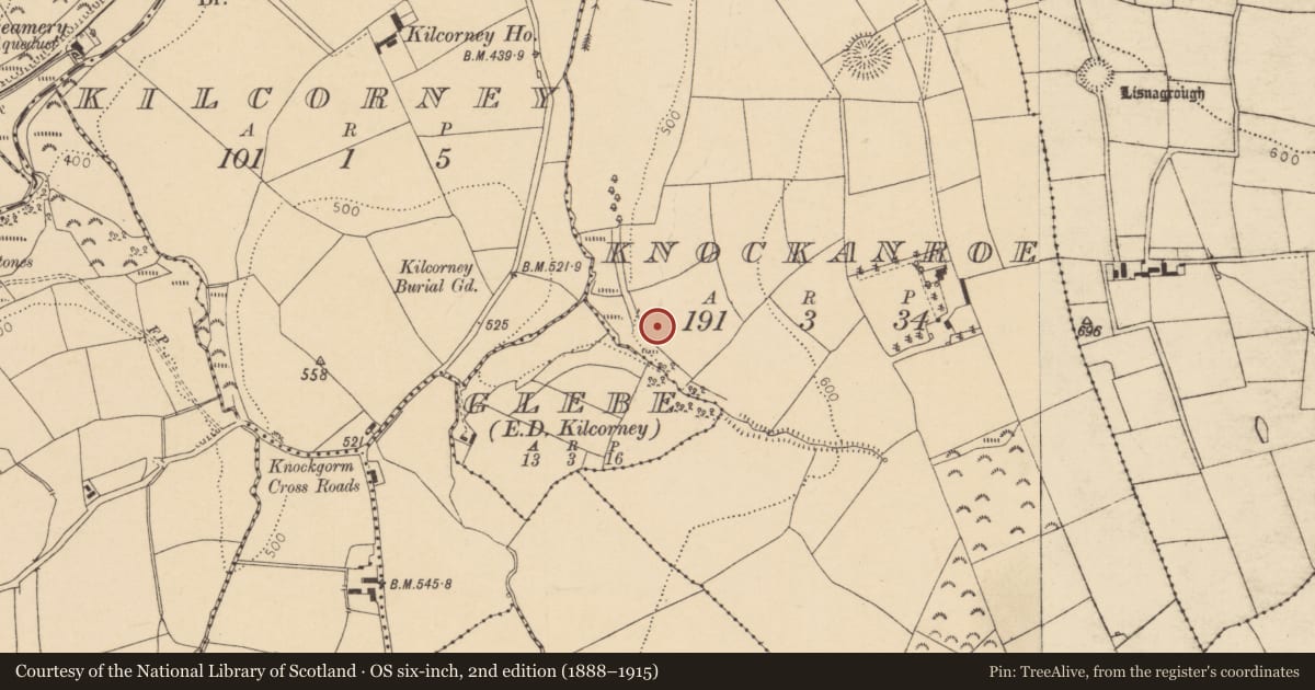 Ordnance Survey six-inch map, 2nd edition (1888–1915) covering the location of Fulacht fia, Knockanroe, County Cork, with a pin at the register's coordinates