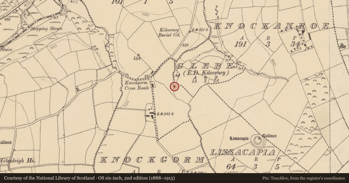 Ordnance Survey six-inch map, 2nd edition (1888–1915) covering the location of Fulacht fia, Lissacapia, County Cork, with a pin at the register's coordinates