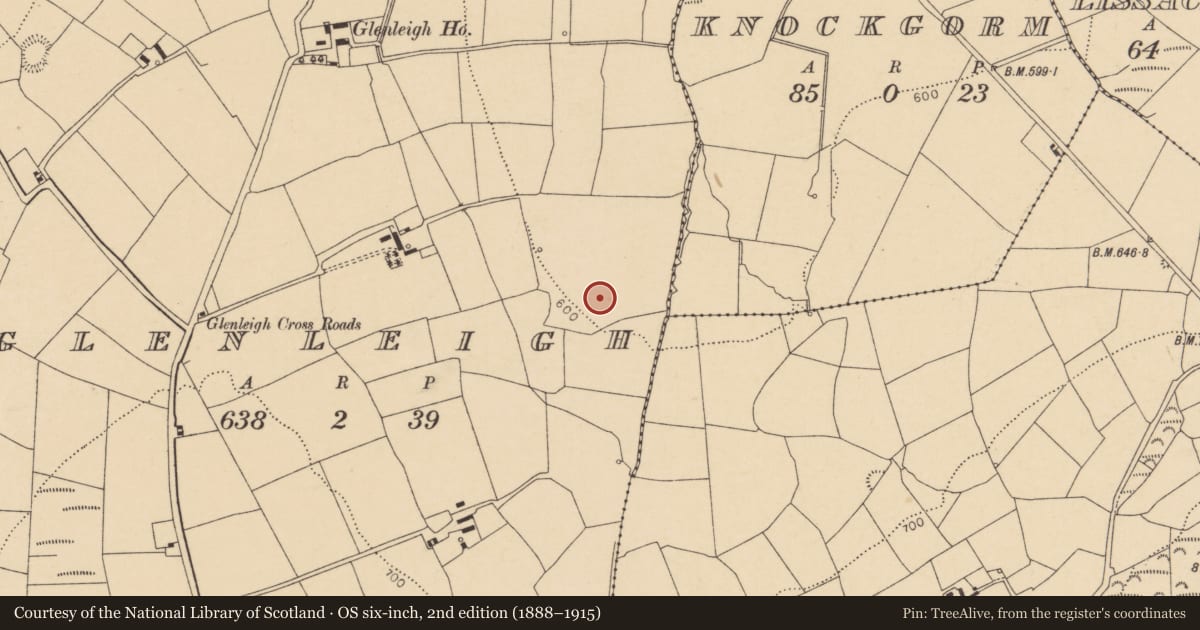 Ordnance Survey six-inch map, 2nd edition (1888–1915) covering the location of Fulacht fia, Glenleigh, County Cork, with a pin at the register's coordinates