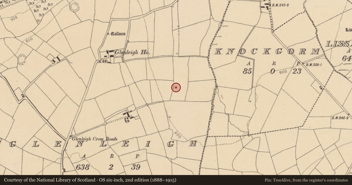 Ordnance Survey six-inch map, 2nd edition (1888–1915) covering the location of Fulacht fia, Glenleigh, County Cork, with a pin at the register's coordinates