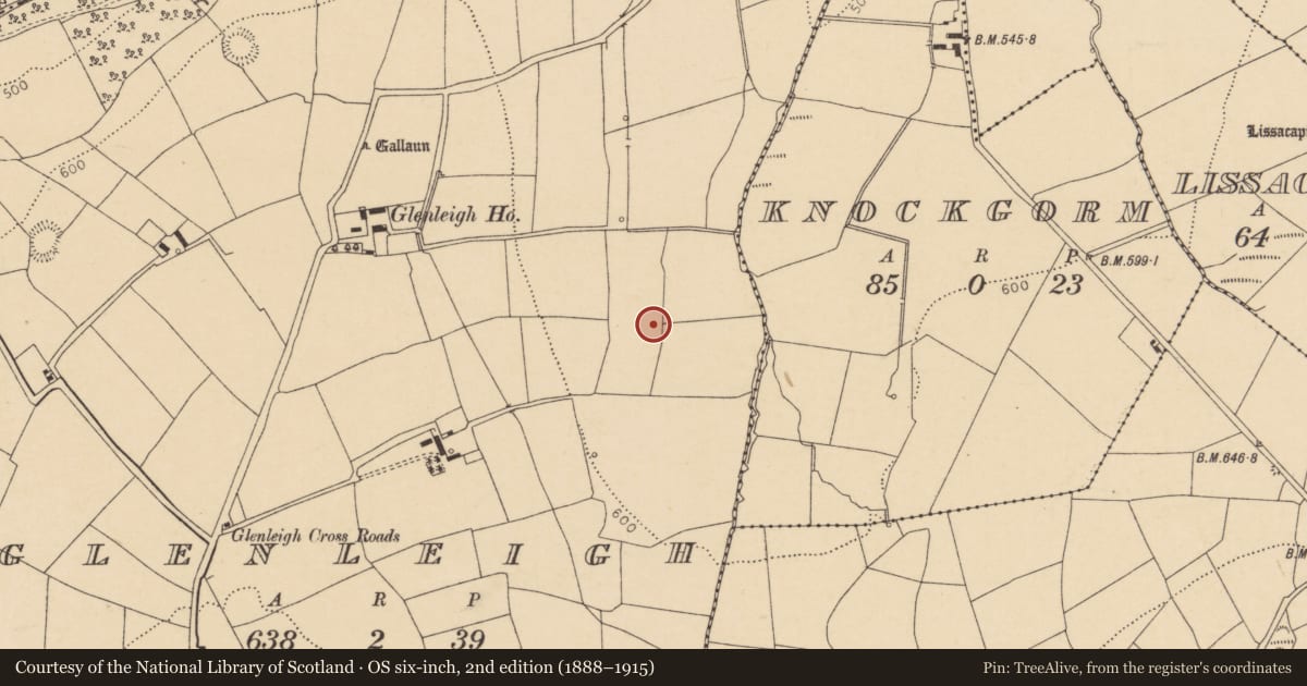 Ordnance Survey six-inch map, 2nd edition (1888–1915) covering the location of Fulacht fia, Glenleigh, County Cork, with a pin at the register's coordinates
