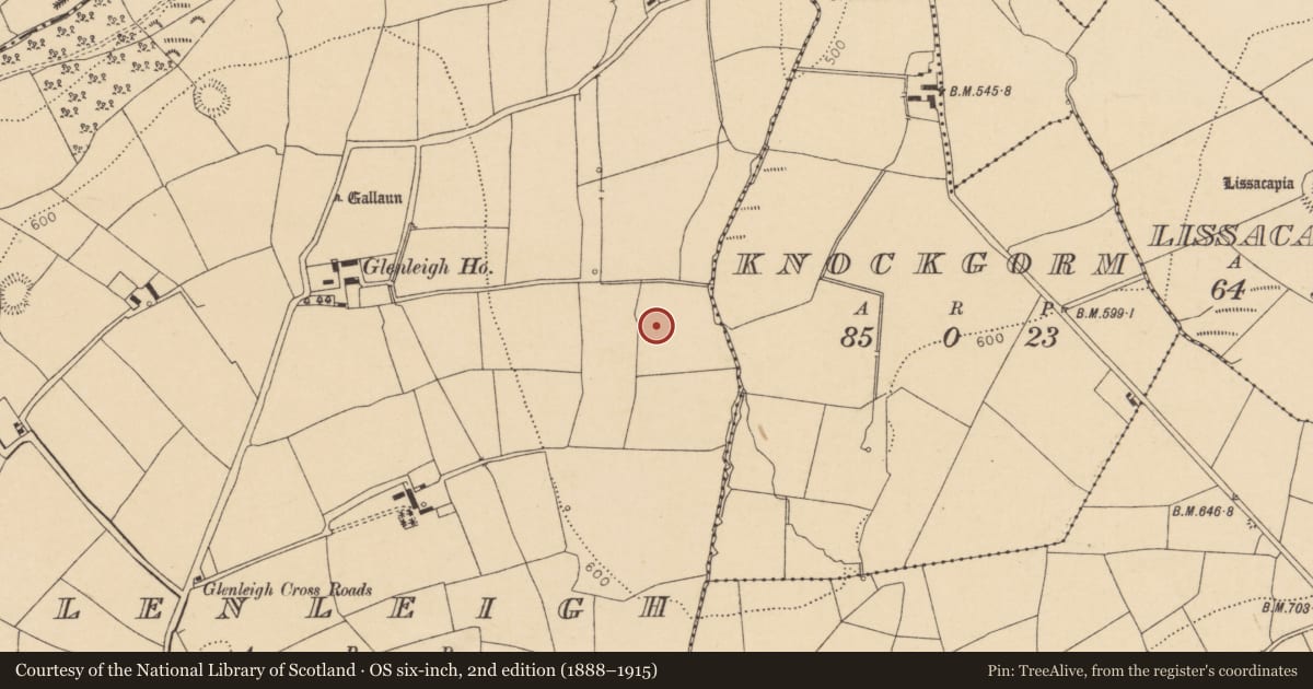 Ordnance Survey six-inch map, 2nd edition (1888–1915) covering the location of Fulacht fia, Glenleigh, County Cork, with a pin at the register's coordinates