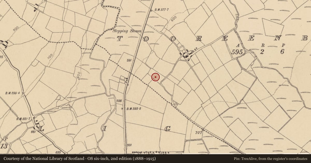 Ordnance Survey six-inch map, 2nd edition (1888–1915) covering the location of Fulacht fia, Tooreenbane, County Cork, with a pin at the register's coordinates