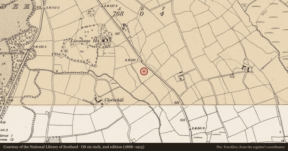 Ordnance Survey six-inch map, 2nd edition (1888–1915) covering the location of Fulacht fia, Liscahane, County Cork, with a pin at the register's coordinates