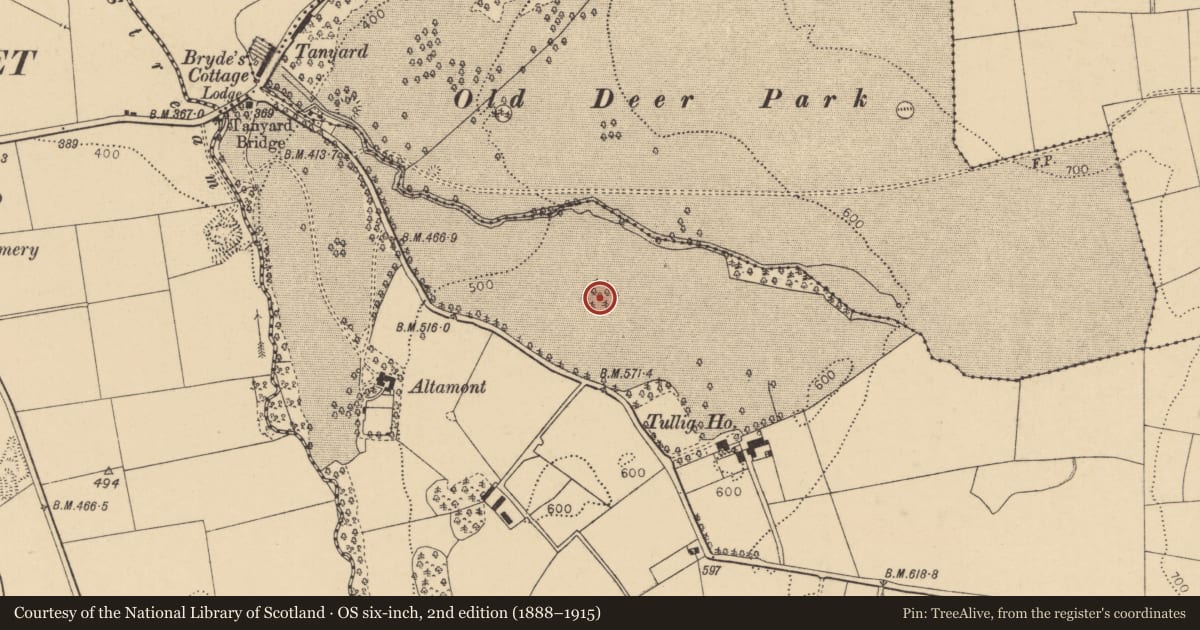 Ordnance Survey six-inch map, 2nd edition (1888–1915) covering the location of Souterrain, Tullig, County Cork, with a pin at the register's coordinates