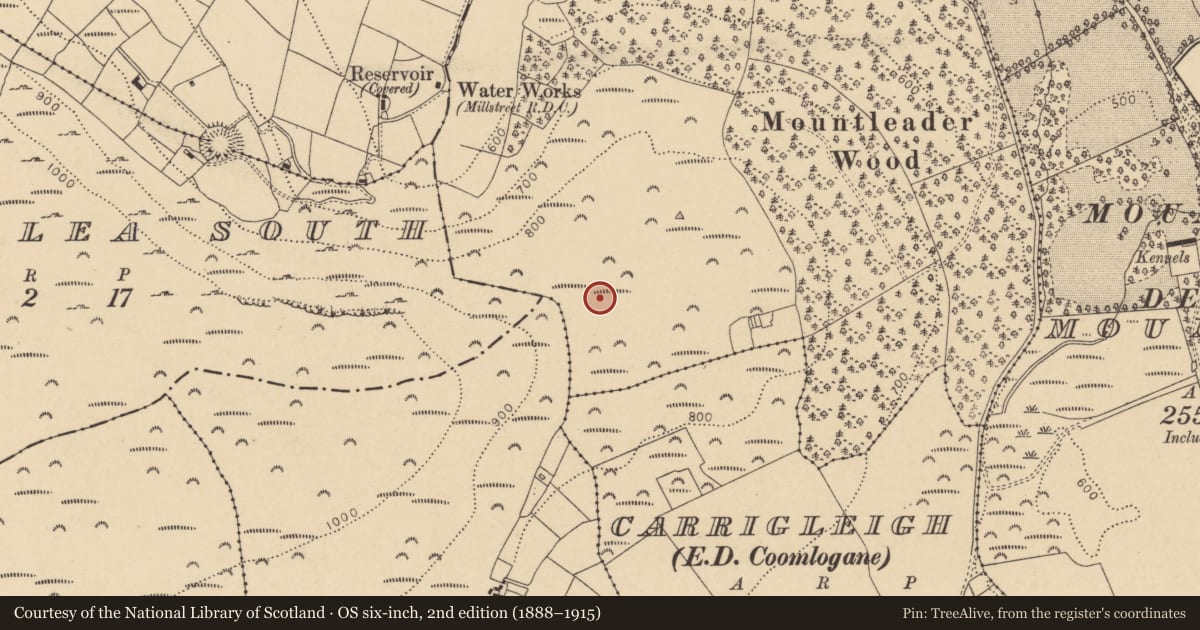 Ordnance Survey six-inch map, 2nd edition (1888–1915) covering the location of Enclosure, Inchileigh, County Cork, with a pin at the register's coordinates