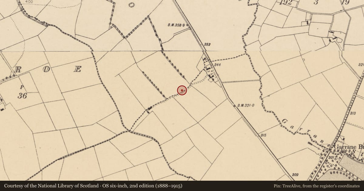 Ordnance Survey six-inch map, 2nd edition (1888–1915) covering the location of Souterrain, Kealmanagh, County Cork, with a pin at the register's coordinates