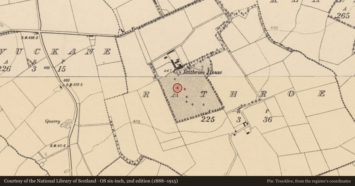 Ordnance Survey six-inch map, 2nd edition (1888–1915) covering the location of Enclosure, Rathroe, County Cork, with a pin at the register's coordinates