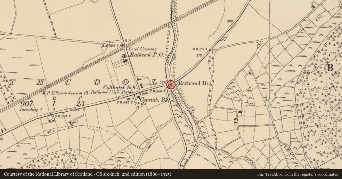 Ordnance Survey six-inch map, 2nd edition (1888–1915) covering the location of Bridge, Boolymore, Rathcool, County Cork, with a pin at the register's coordinates