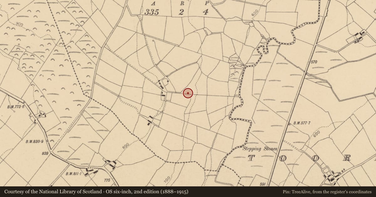 Ordnance Survey six-inch map, 2nd edition (1888–1915) covering the location of Souterrain, Garraneduff, County Cork, with a pin at the register's coordinates