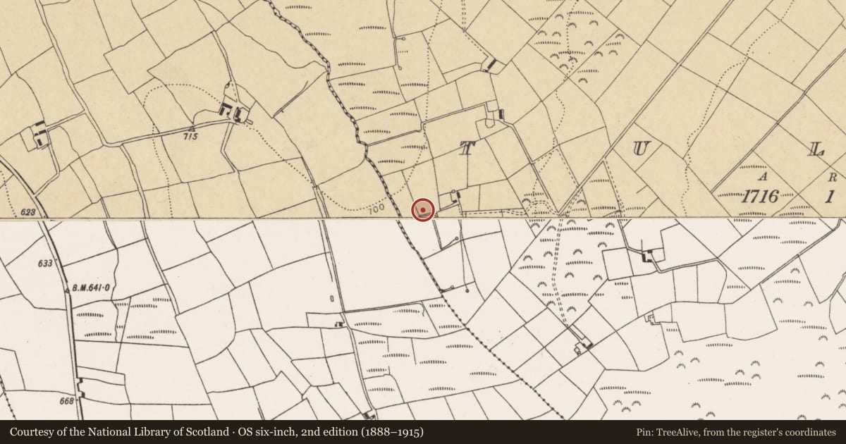 Ordnance Survey six-inch map, 2nd edition (1888–1915) covering the location of Burnt mound, Tullig, County Cork, with a pin at the register's coordinates