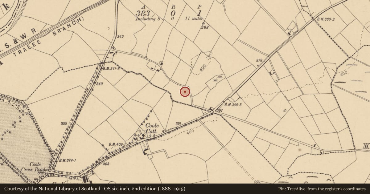 Ordnance Survey six-inch map, 2nd edition (1888–1915) covering the location of Fulacht fia, Drishane Beg, County Cork, with a pin at the register's coordinates